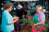 Friedrichshafen Market, copyright Tourist Information Friedrichshafen