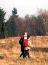 Winterberg high heathland, copyright Winterberg Tourist Information