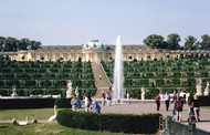Looking up the vine terraces to Sanssouci Palace