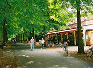 Münster Promenade, copyright Presseamt Stadt Münster