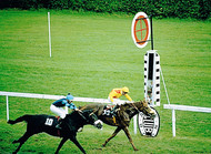 Baden-Baden Racetrack, copyright BBT