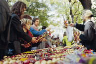 Weimar Zwiebelmarkt Fair, copyright Congress Centrum Neue Weimarhalle und Tourismusservicegesellschaft mbH