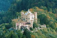 Aerial view of Hohenschwangau Castle surrounded by forest